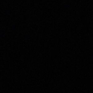 Meet your Posher, Iliana